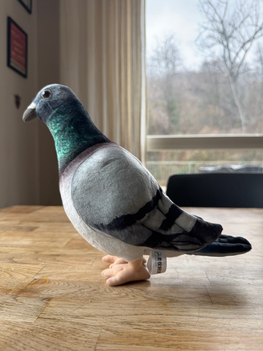Customer photo review of Common Pigeon Bird Soft Stuffed Plush Toy