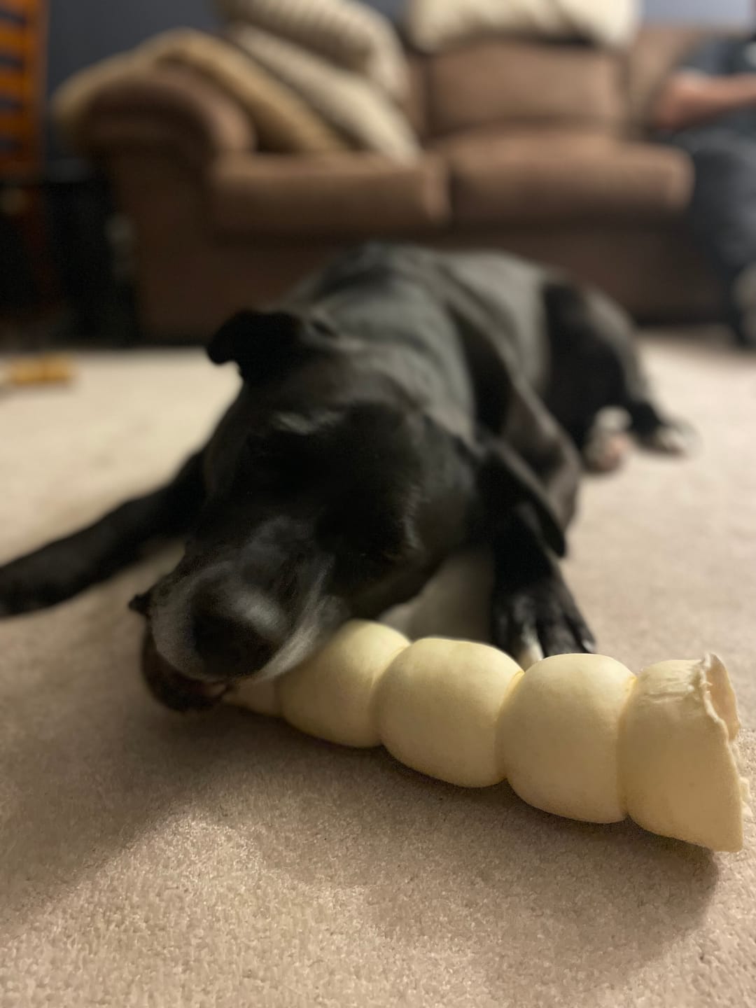 Customer photo review of 5-6 Inch Peanut Butter Cheek Roll