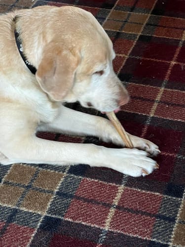 Customer review