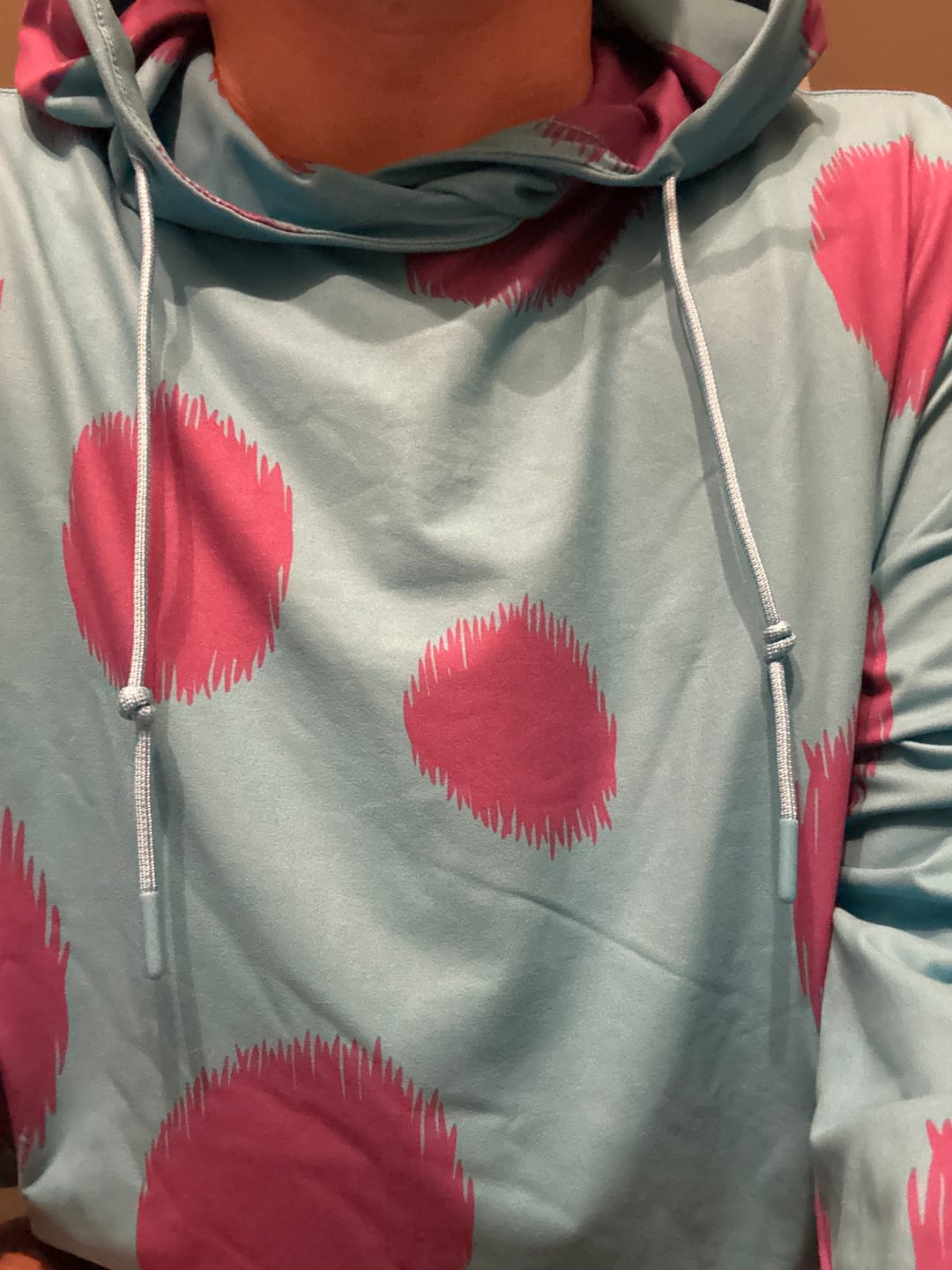 Customer photo review of Disney and Pixar Monsters, Inc. "Sulley" – Performance Hoodie