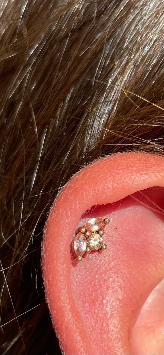 Customer photo review of The 14kt Gold Bloom Top