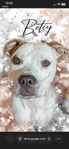 Customer photo review of Your Dog as Watercolor Portrait