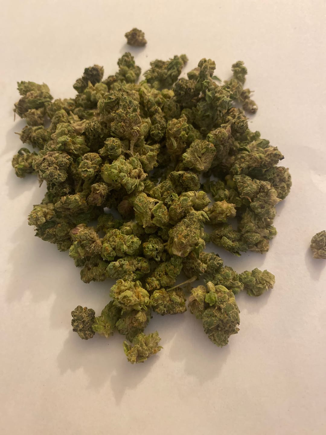 Customer photo review of OG Kush THCA Flower