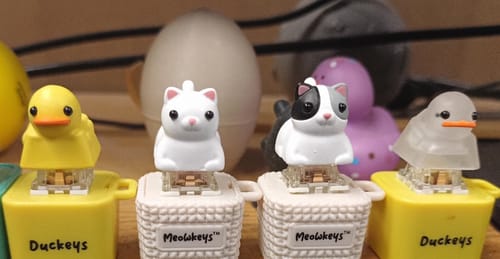 Customer photo review of Meowkey - Fidget Toy that Meows!