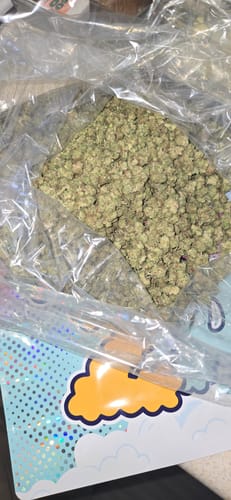 Customer photo review of White Nerds Littles- Bulk Littles - Hybrid