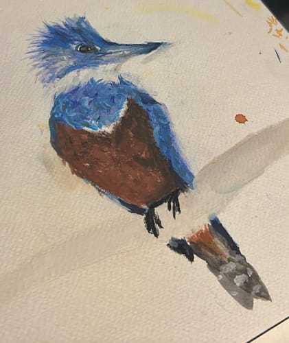 Customer photo review of Himi - Set 48 Gouache Potes 12 g y Pinceles Peach Fuzz