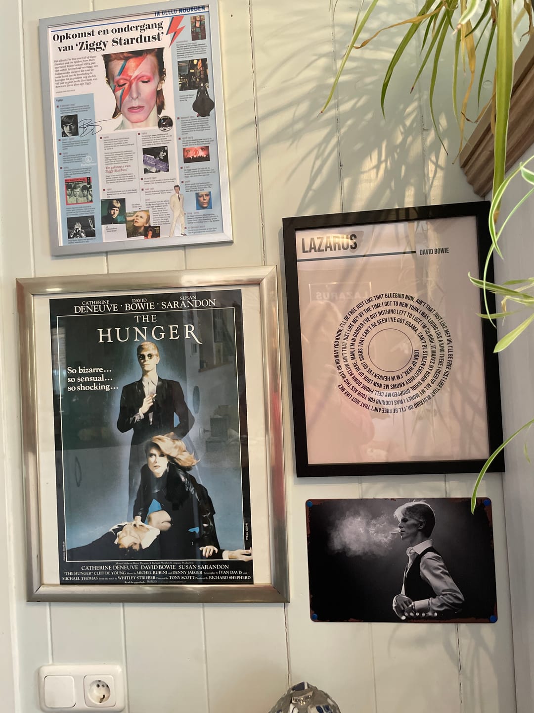 Customer photo review of Vinyl songtekst