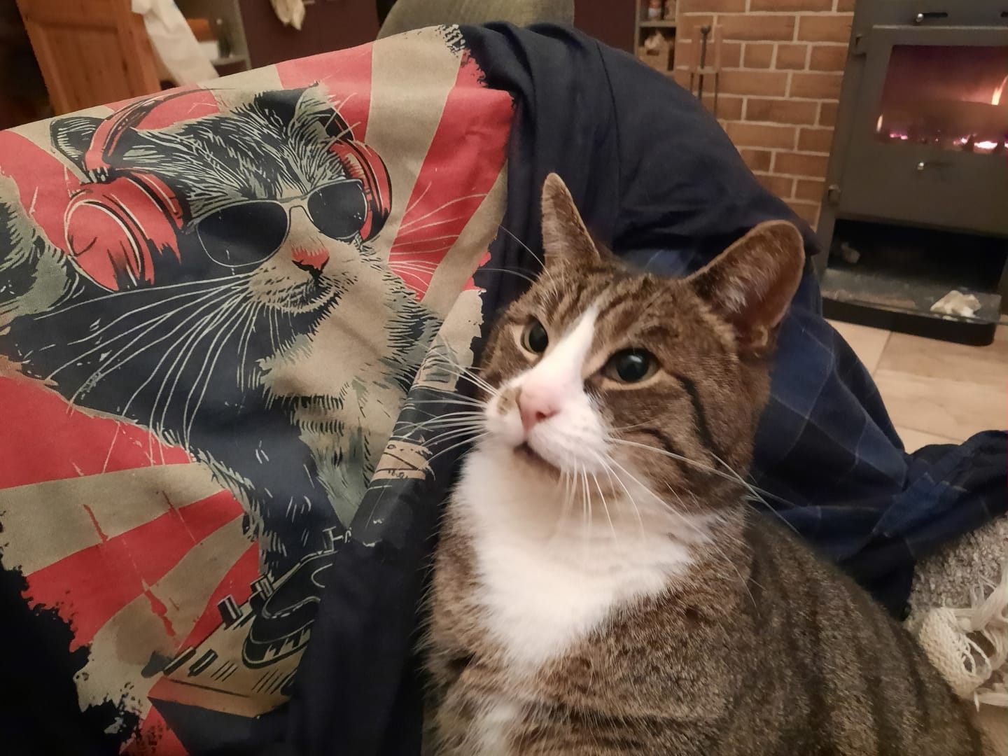 Customer photo review of Vibing Cat T Shirt