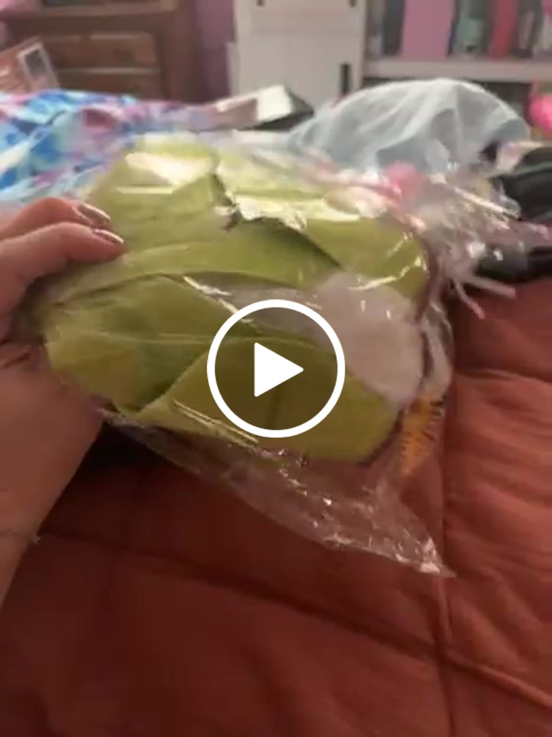 Customer video review of Indian Moon Moth Soft Stuffed Plush Toy