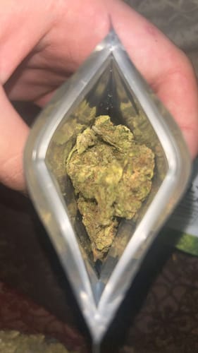 Customer photo review of Key Lime Pie THCA Flower