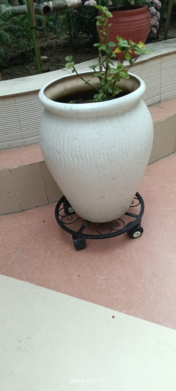 Customer photo review of TryGreen Luna Wheel Rolling Plant Stand for Planters