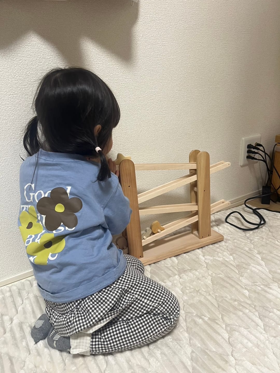 Customer photo review of ころころ動物