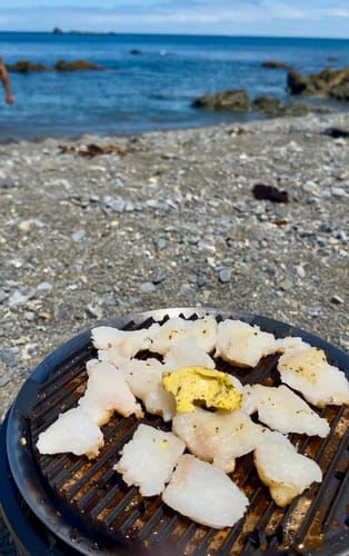 Customer photo review of COBB Black Gas