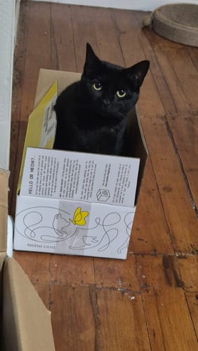 Customer photo review of Fit Litter