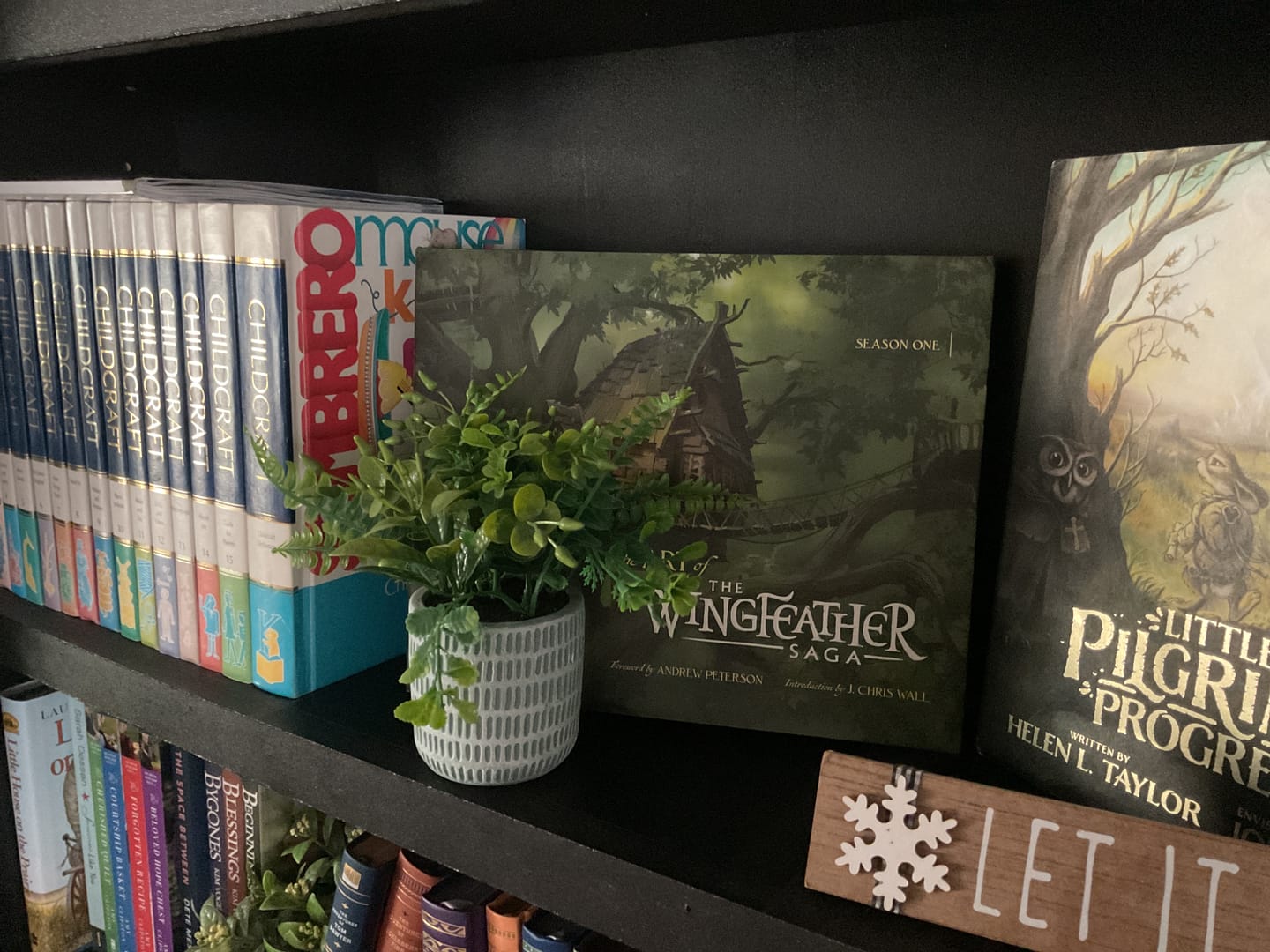 Customer photo review of The Art of The Wingfeather Saga - Season One