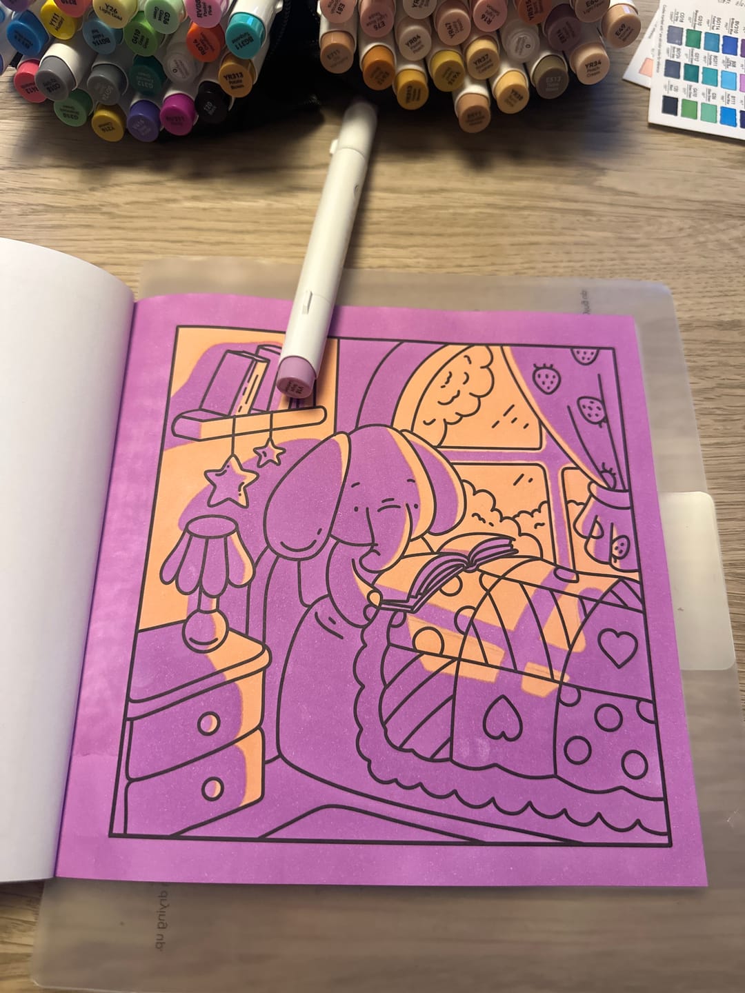 Customer photo review of Ohuhu Honolulu 24 Basic Colors Dual Tips Alcohol Art Markers