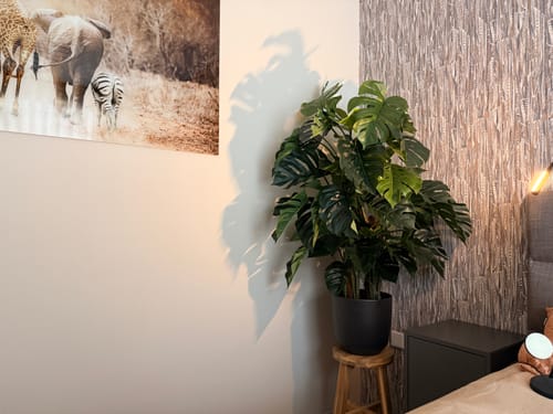 Customer photo review of Monstera Kunstplant 120cm