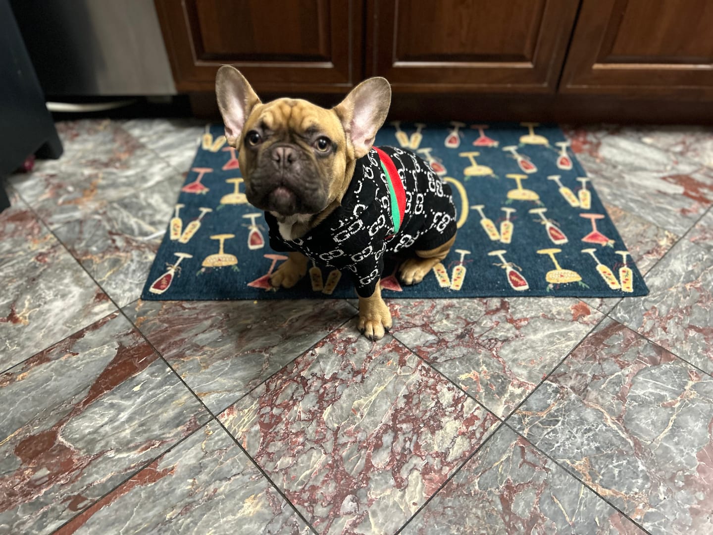 Customer photo review of GG Doggo Hype Hoody Icy Sweater