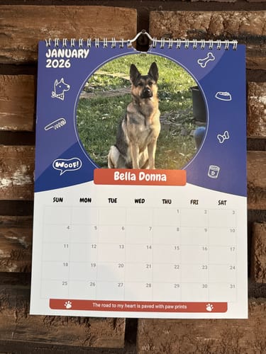 Customer photo review of Official Pupvote Cutest Pets of the Year Calendar (2026)