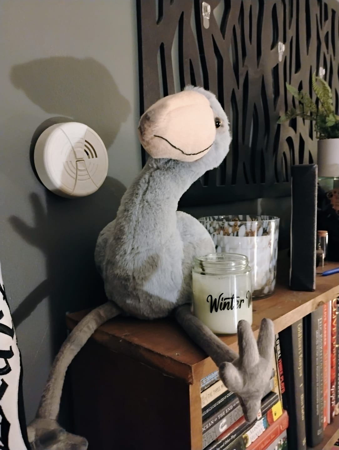 Customer photo review of Shoebill Stork Bird Soft Stuffed Plush Toy