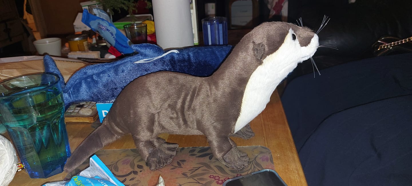 Customer photo review of Eurasian Otter Soft Stuffed Plush Toy