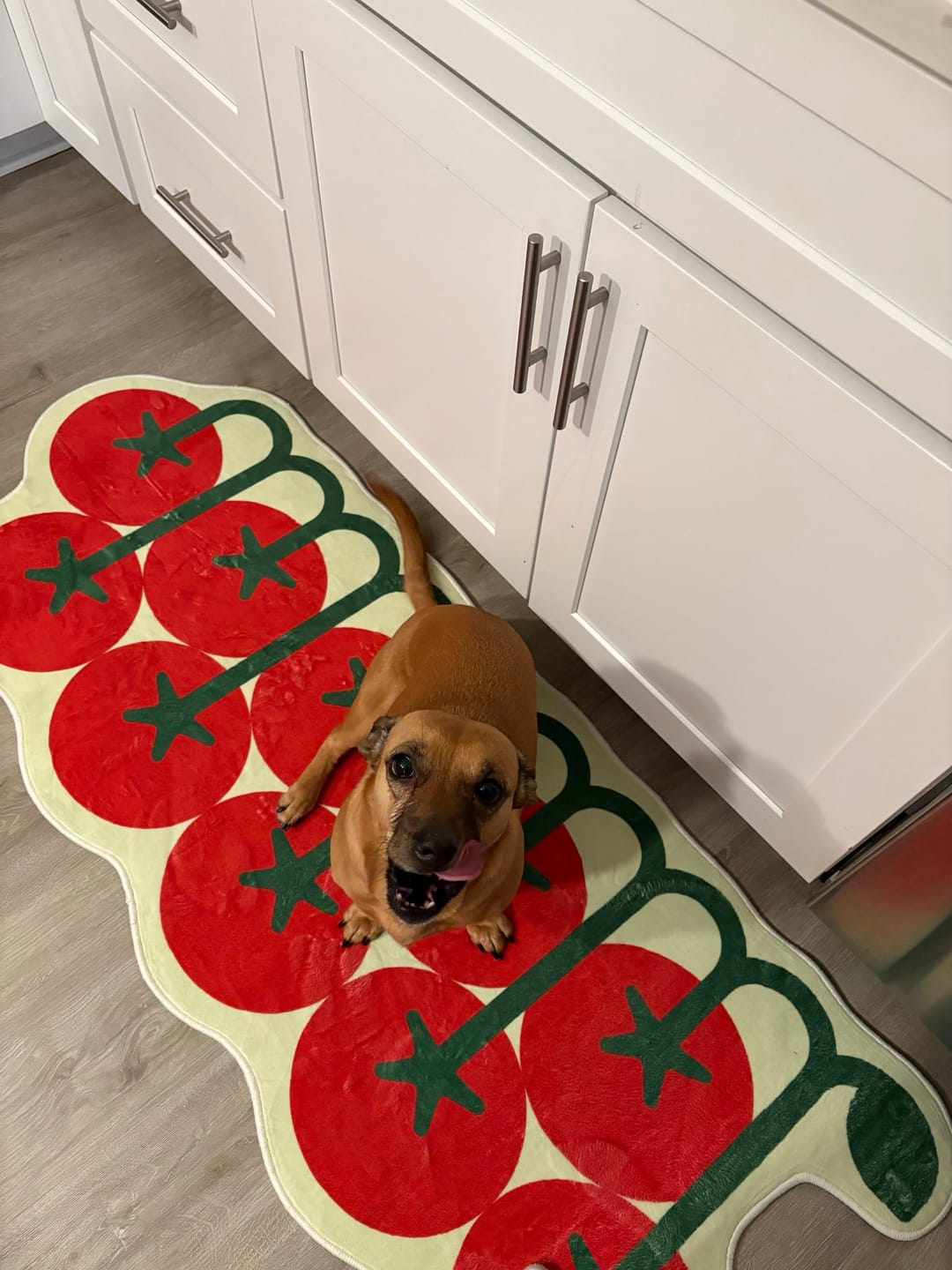 Customer photo review of Irregular Tomato Runner Rug by Johann Banta