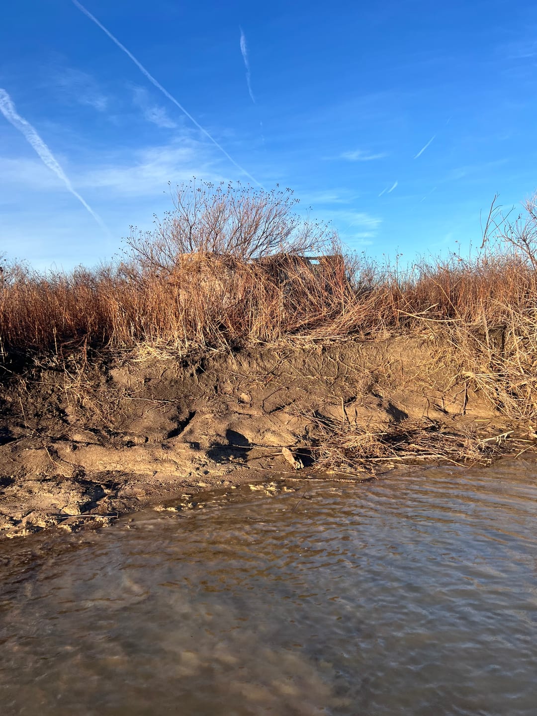 Customer photo review of Modular Panel Hunting Blind | A-Frame Pop Up Duck & Goose Blinds | Portable 3-4 Person Waterfowl Ground Blind Camo