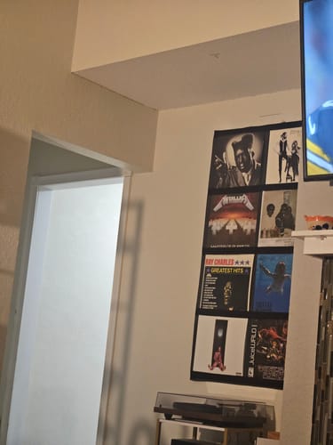 Customer photo review of 12" Vinyl Record Display Frame - LP Wall Storage