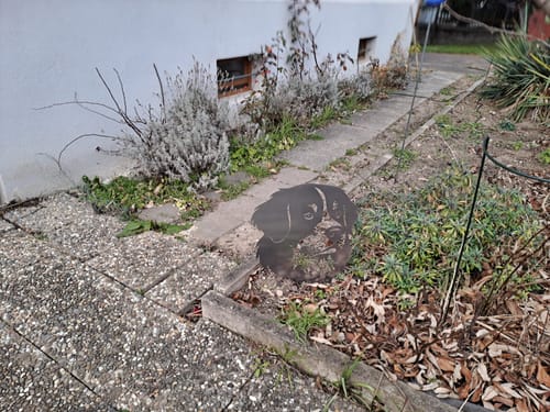 Customer photo review of Gartenstecker Berner Sennenhund Portrait