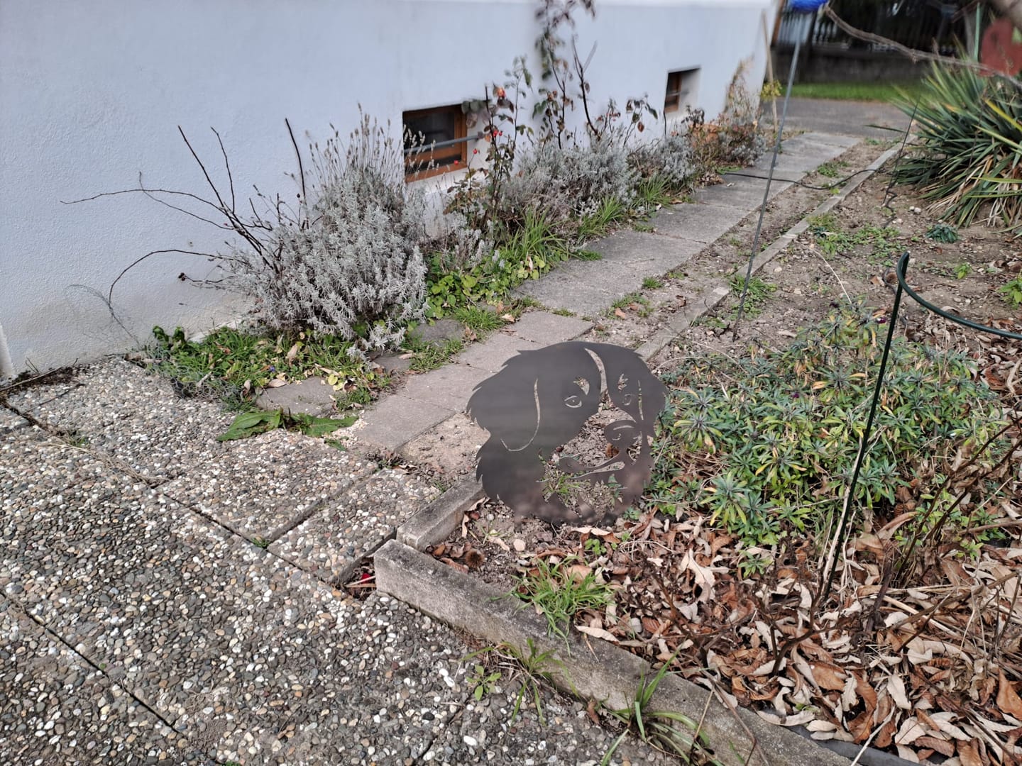 Customer photo review of Gartenstecker Berner Sennenhund Portrait