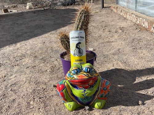 Customer's can of Lemon THC Light Seltzer on a colorful frog statue, next to a potted cactus outdoors.