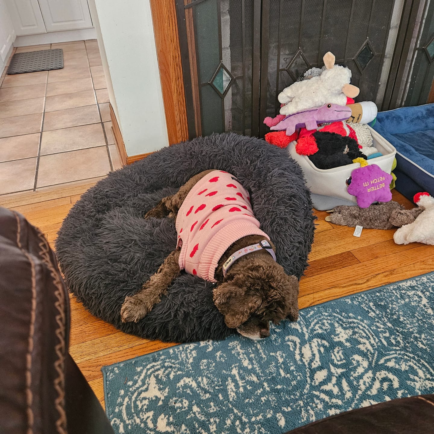 Customer photo review of Hearts Knit Dog Sweater