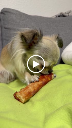 Customer video review of Barkii - Kollagen Tyggeben m. And
