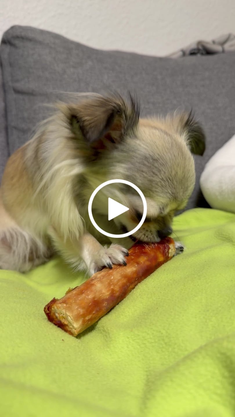 Customer video review of Barkii - Kollagen Tyggeben m. And