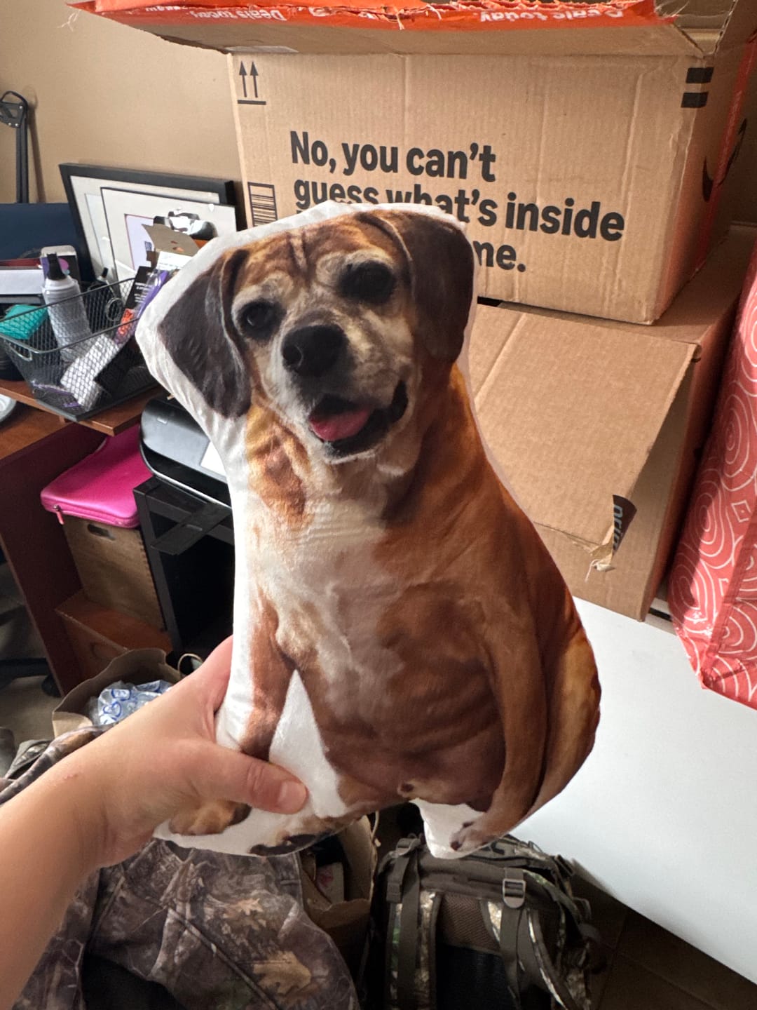 Customer photo review of Pet Pillow Looks Like Your Pet, Customize Dog Shaped Pillow with Pet Photo - ThePetPillow