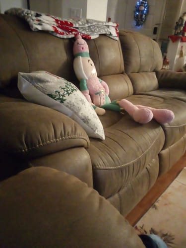 Customer photo review of Blisso Advanced Cat Probiotic