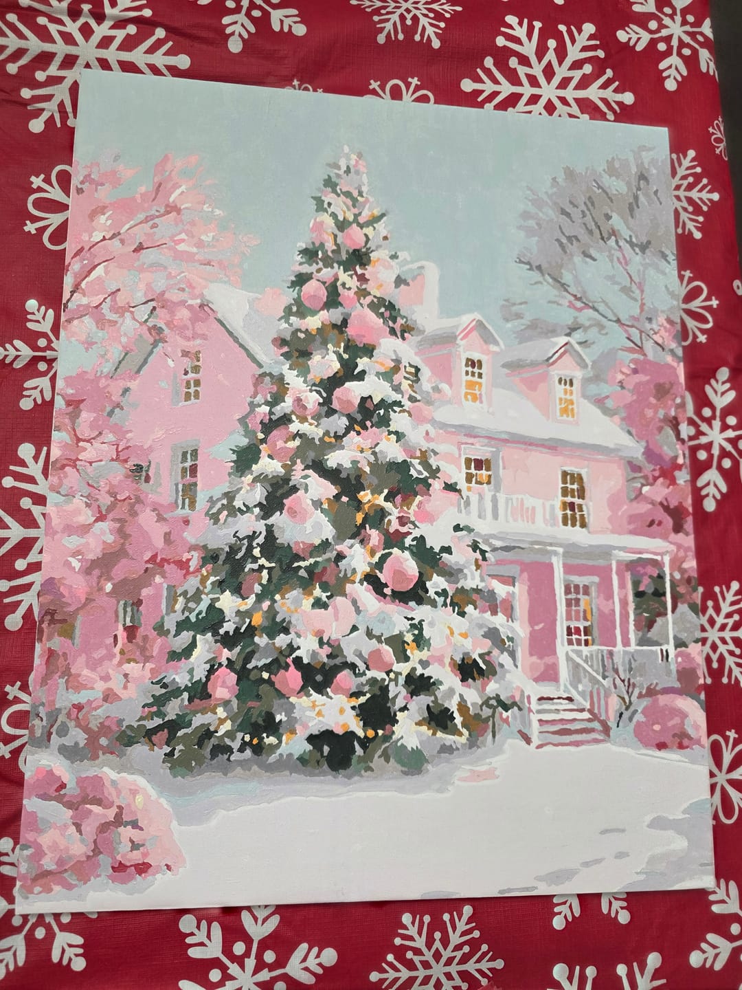 Customer photo review of The Pink Noel | Paint by Number