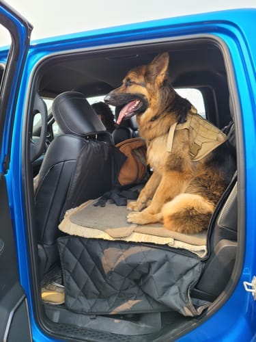 Customer photo review of 4Knines Hard Bottom Extender Car Seat Cover for Dogs - XL