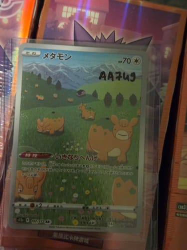 Customer photo review of Ditto 197/172