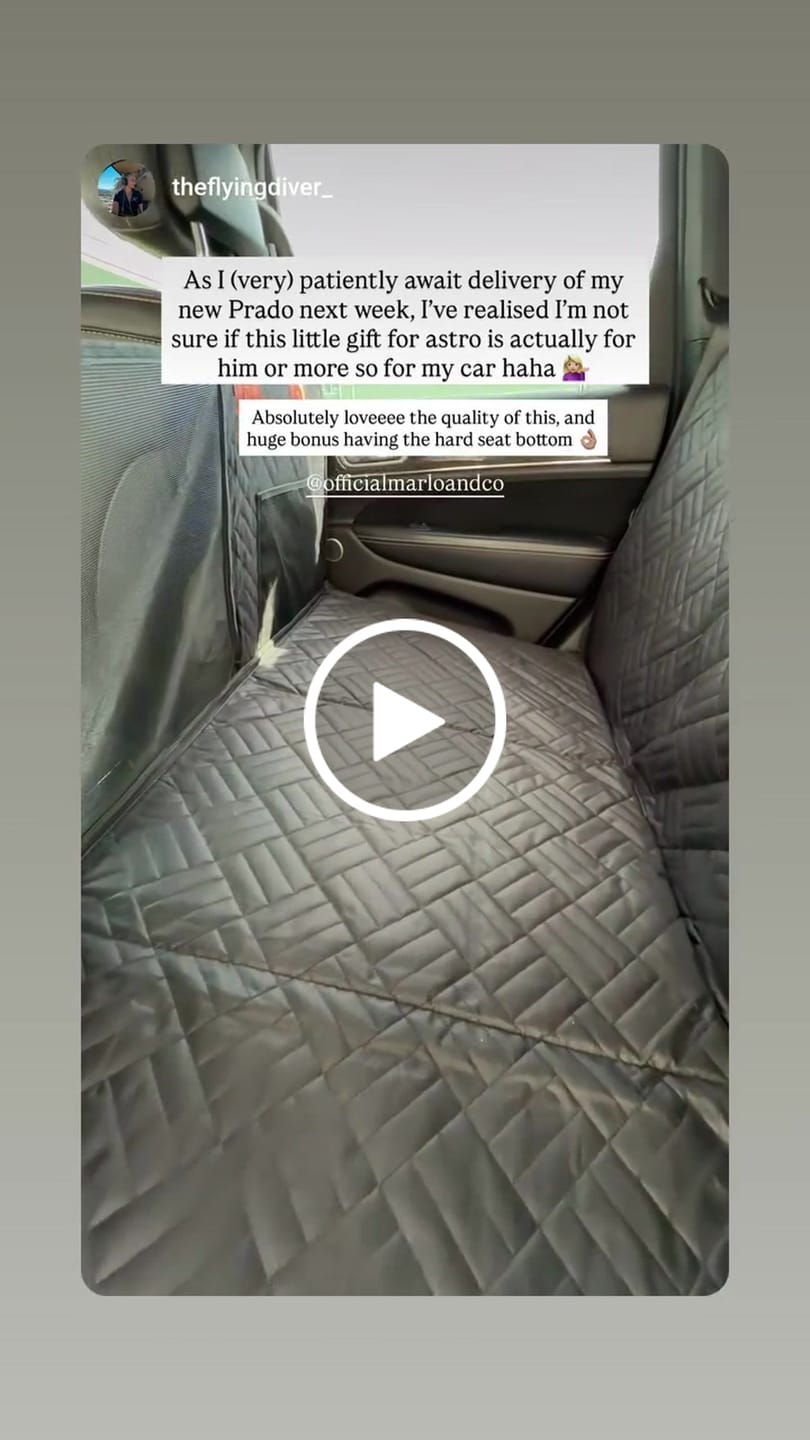 Customer video review of Marlo&Co™ Dog Seat Cover