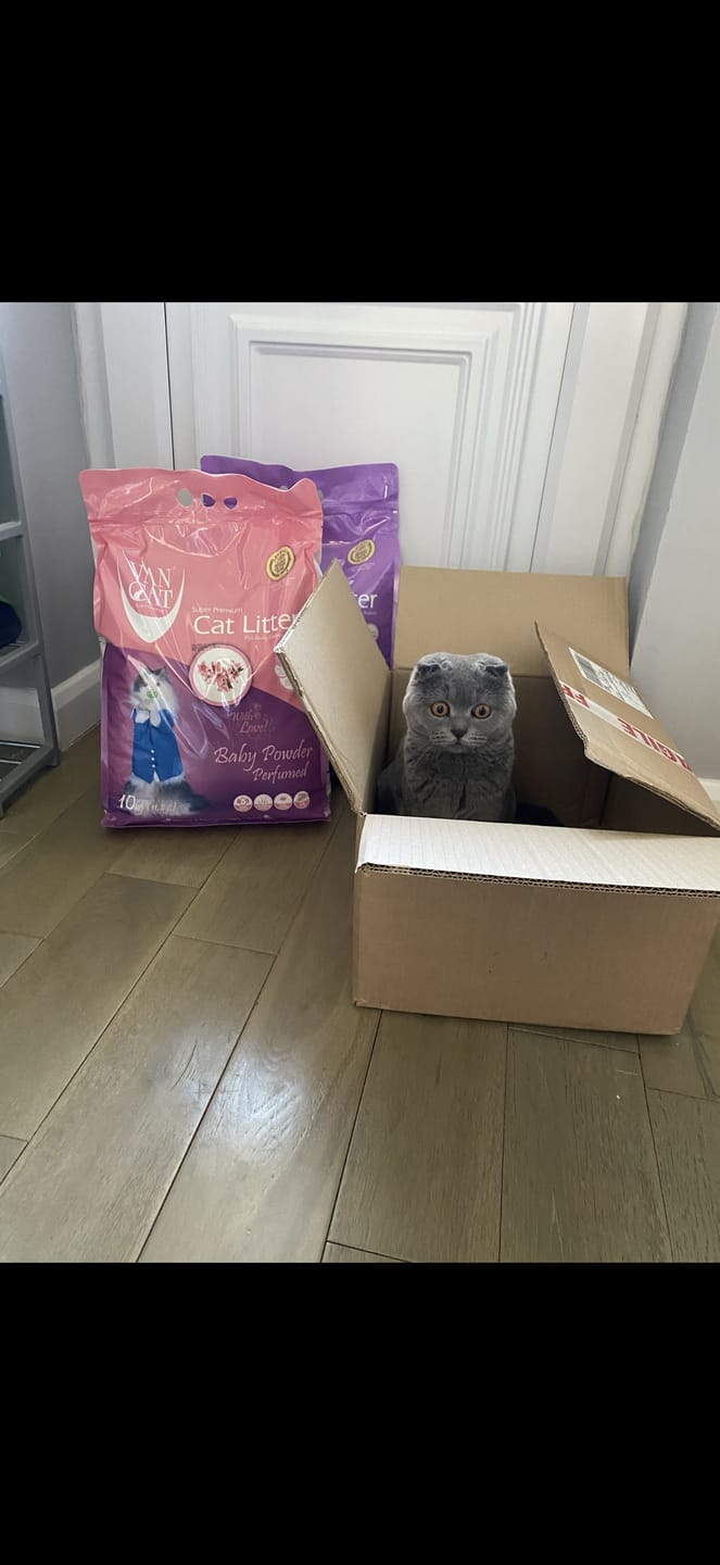 Customer photo review of W225 Scented Range - 10KG