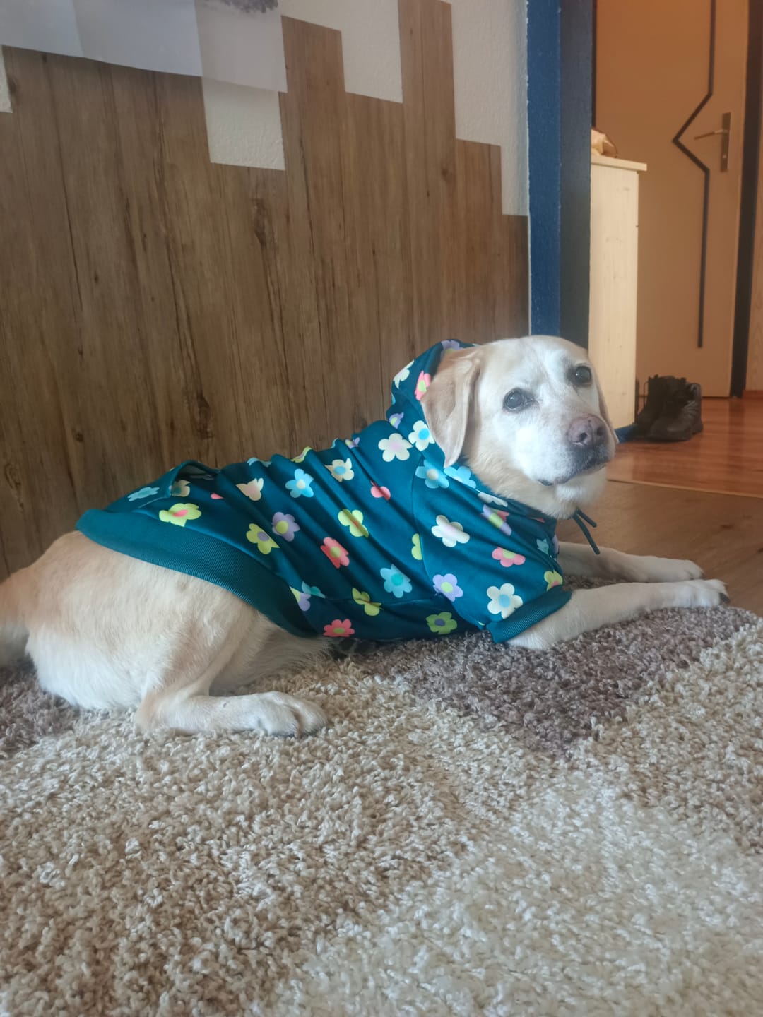 Customer photo review of Blossom Dog Hoodie - Pink
