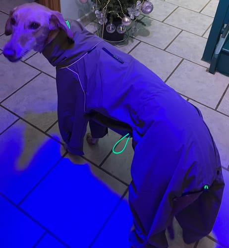 Customer photo review of ThermaLuxe - Fleece-Lined Trouser Suit Coat