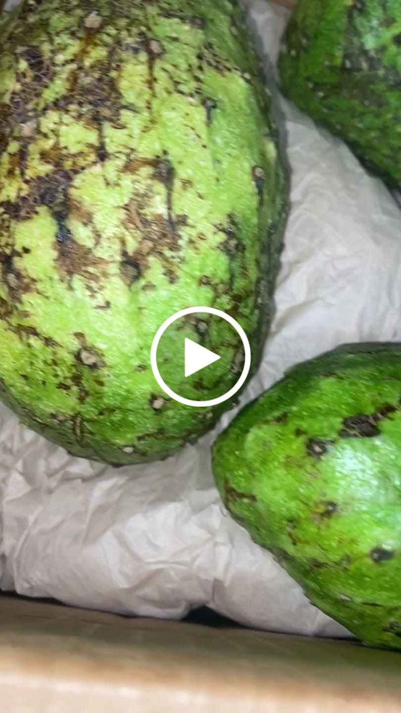 Customer video review of Premium Soursop (Guanabana)