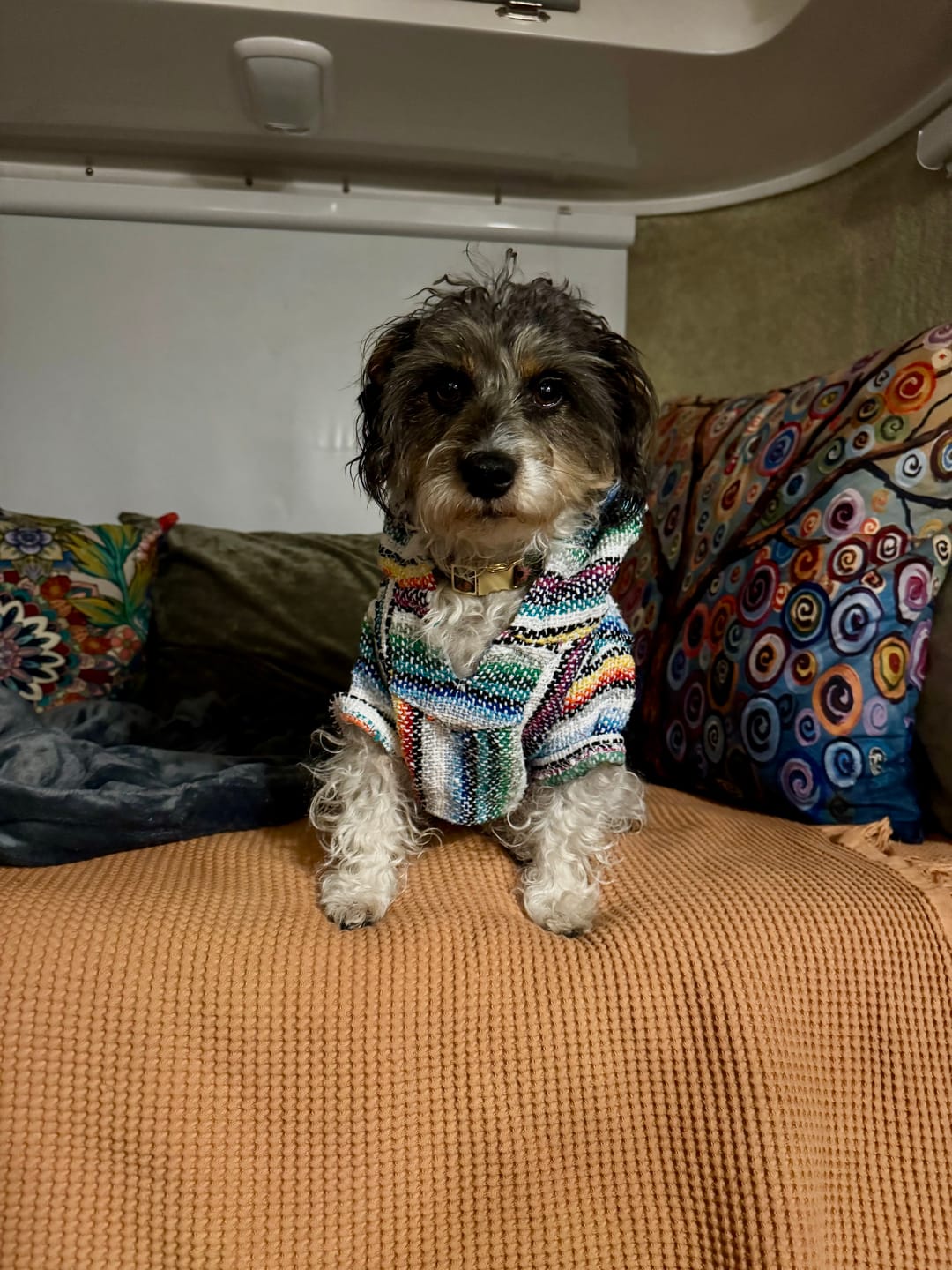 Customer photo review of Playa Poncho – Mystery Color (Bella, Charlie, or Fun Edition)