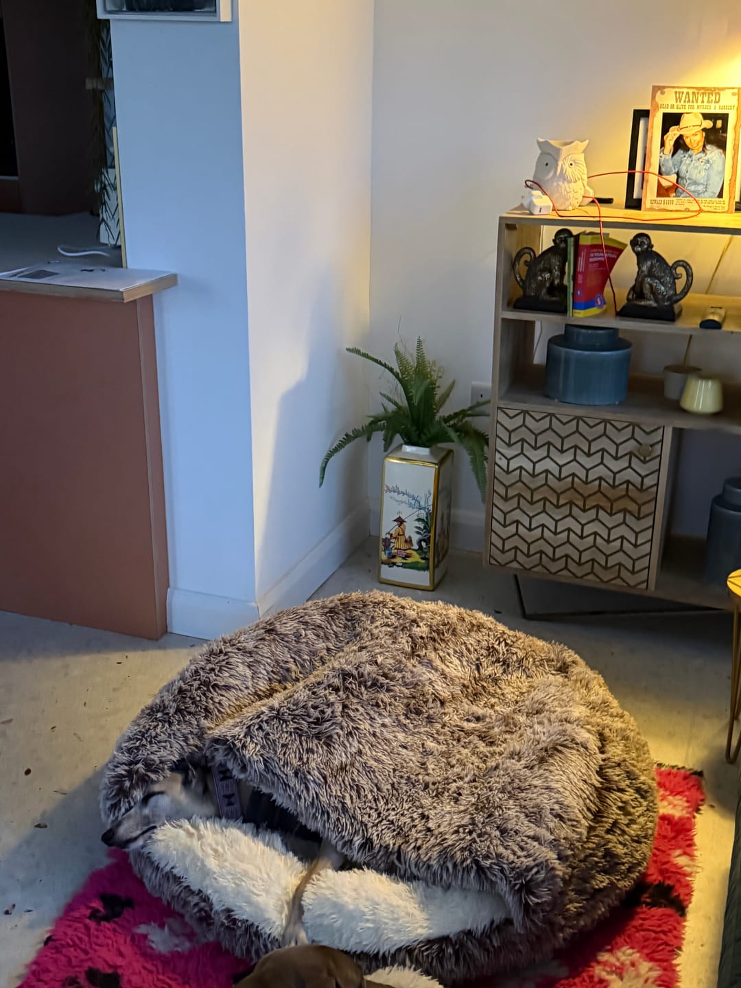 Customer photo review of Burrow Buddy™ - Pet Bed