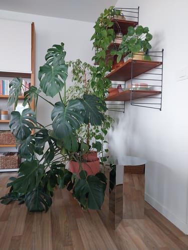 Klant toont de glimmende HAY Slit bijzettafel in een woonkamer naast een grote plant.
