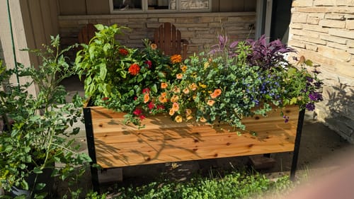 Customer photo review of Winter Covers for Raised Garden Beds