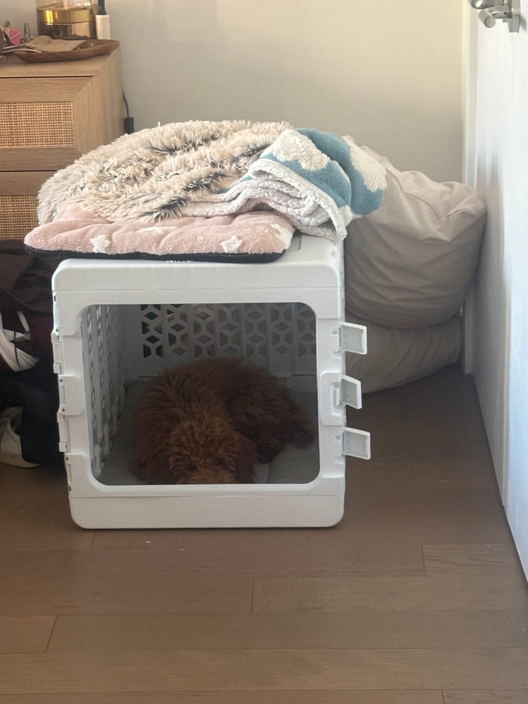 Customer photo review of Puppy Bundle PAWD® Dog Crate