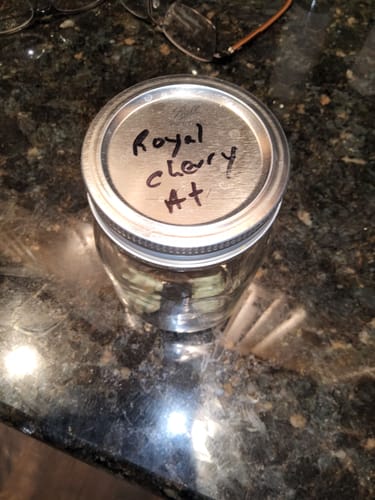 Customer photo review of Royal Cherry